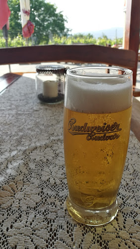 Comentarii opinii despre Penzion ranč Šenkvice