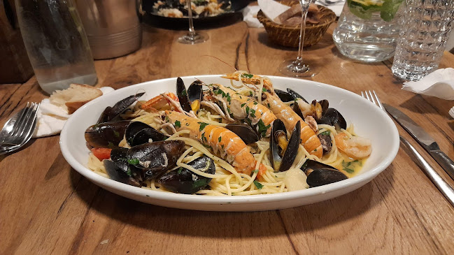 Comentarii opinii despre Modys