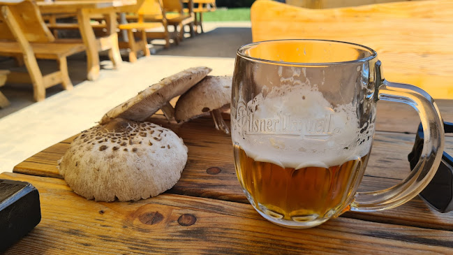 Opinii despre Dedečkova chata în Mýto pod Ďumbierom - Gastronómia a pohostinstvo