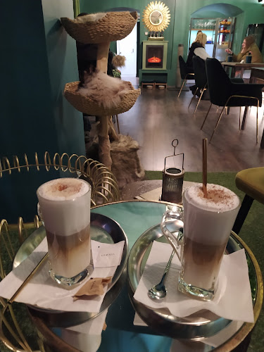 Mačacia Kaviareň Banská Bystrica - Gastronómia a pohostinstvo