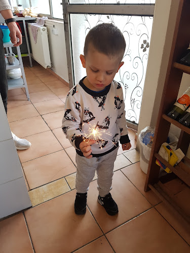 Comentarii opinii despre Fripet