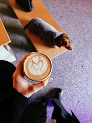 Kamenné Námestie, 811 06 Bratislava