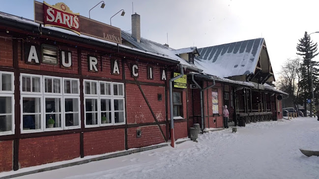 Reštaurácia Lavína