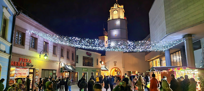 Sládkovičova 56, 911 01 Trenčín