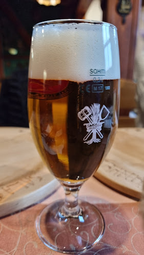 Comentarii opinii despre Motorest Salaš u Franka