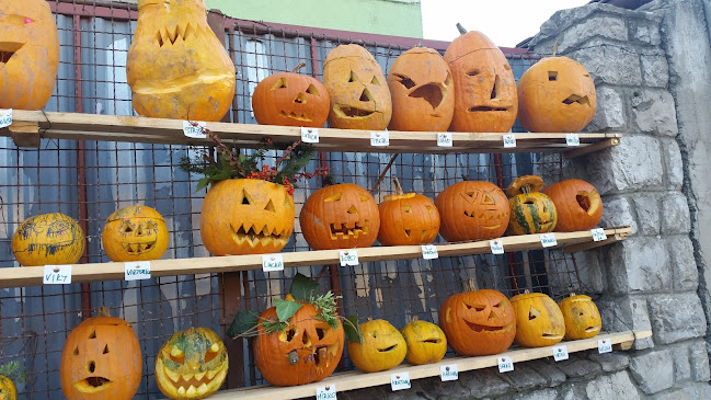 Comentarii opinii despre Trnavský dvor