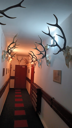 Opinii despre Poľovný dom în Jelšava - Gastronómia a pohostinstvo