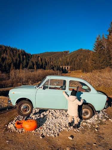 Telgárt 505, 976 73 Telgárt