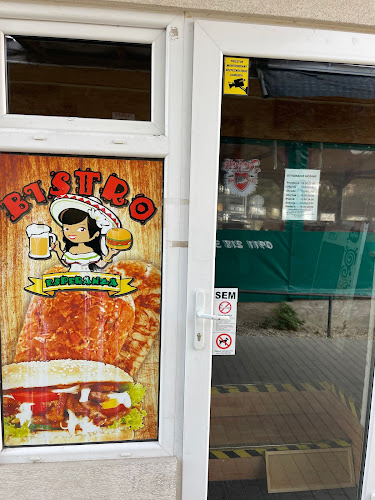 Hviezdoslavova 20, 915 01 Nové Mesto nad Váhom