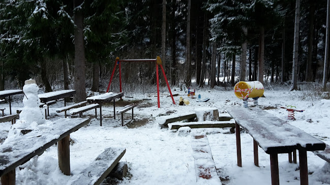 Comentarii opinii despre Pohostinstvo Jedľoviny u Ivana