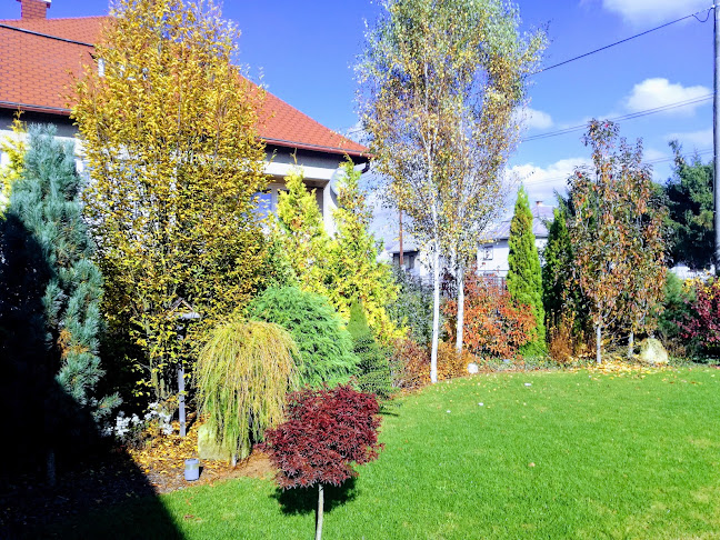 Zámocká Pivnica - Stropkov