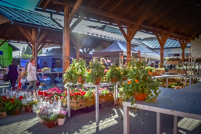 Mestská tržnica Turzovka - Gastronómia a pohostinstvo