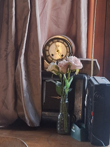 Comentarii opinii despre Roger Rabbit