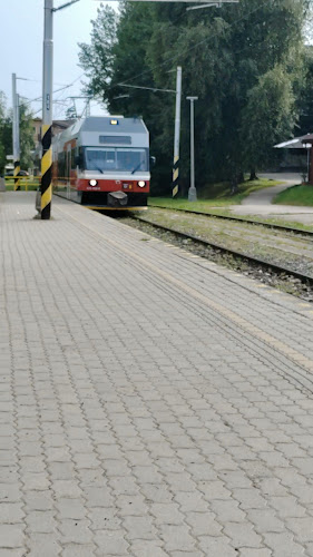 Reštaurácia Lavína