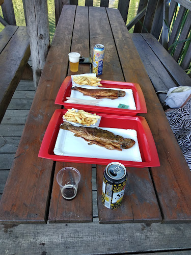 Rybník Machnáč - Gastronómia a pohostinstvo