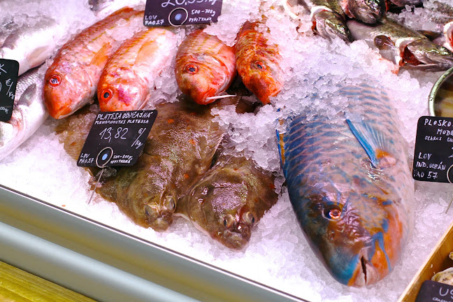 Comentarii opinii despre MyFish - Čerstvé ryby a morské plody
