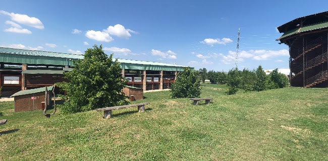 Grill House - Gastronómia a pohostinstvo