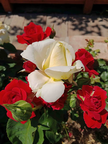 VinCent predaj vína - Dubnica nad Váhom