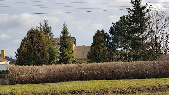 Comentarii opinii despre Pizza u babičky