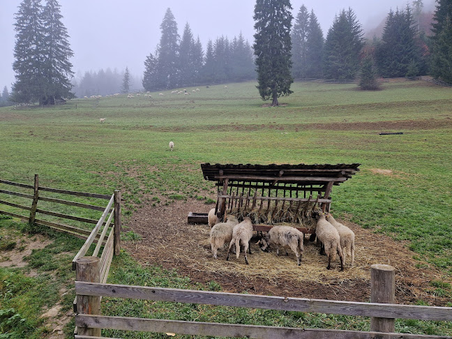 Opinii despre Koliba u Dobrého pastiera - penzión a reštaurácia în Ružomberok - Gastronómia a pohostinstvo