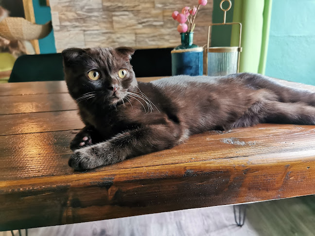 Dolná 23, 974 01 Banská Bystrica