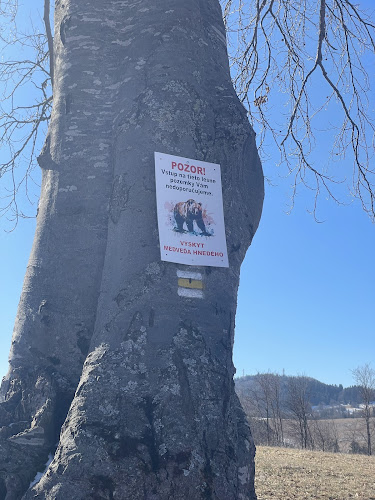 Comentarii opinii despre Dedečkova chata