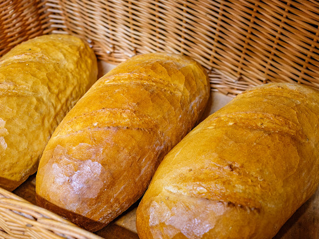 Lark Skalica - Gastronómia a pohostinstvo