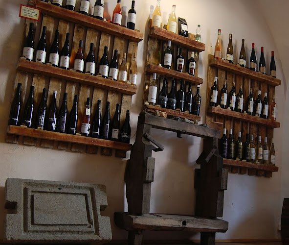 ViNOCENTRUM Banská Štiavnica - Gastronómia a pohostinstvo