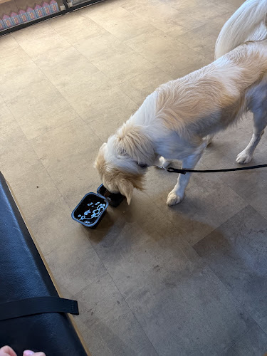 Opinii despre PINUS restaurant în Liptovský Mikuláš - Gastronómia a pohostinstvo