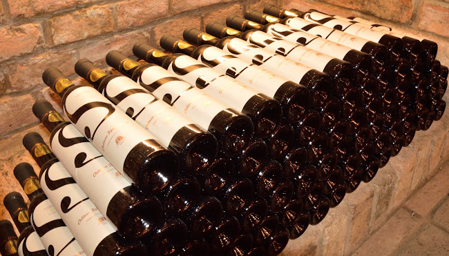 Comentarii opinii despre Château Topoľčianky