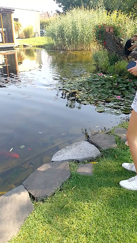 Pálenica Jelšovce - Gastronómia a pohostinstvo