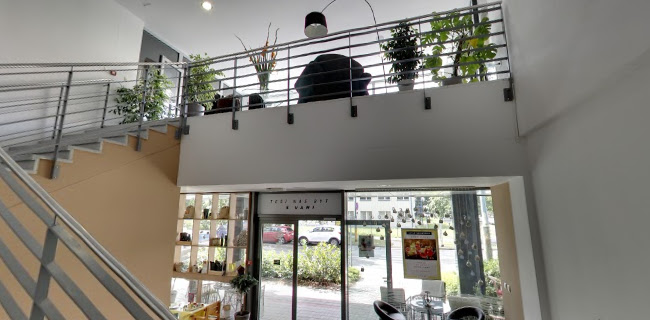 Kafé LAMPY culture & club & coffee - Gastronómia a pohostinstvo