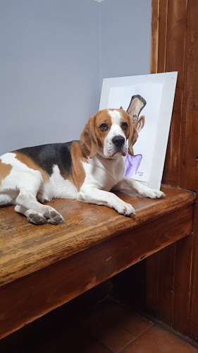 Pohostinstvo Limba - Gastronómia a pohostinstvo