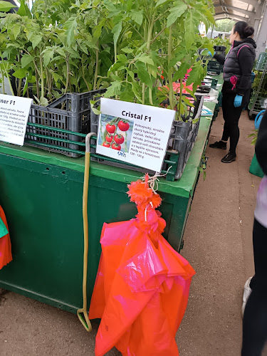 Trhovisko pri OC Družba