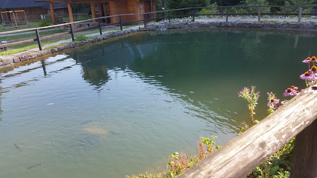 Čremošná 8684, 034 06 Ružomberok