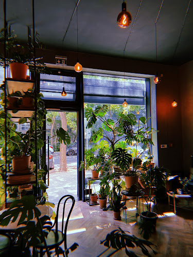 Blumentálska 2728/21, 811 07 Bratislava