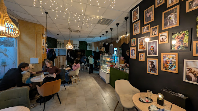 Mánesovo námestie 1, 851 01 Petržalka