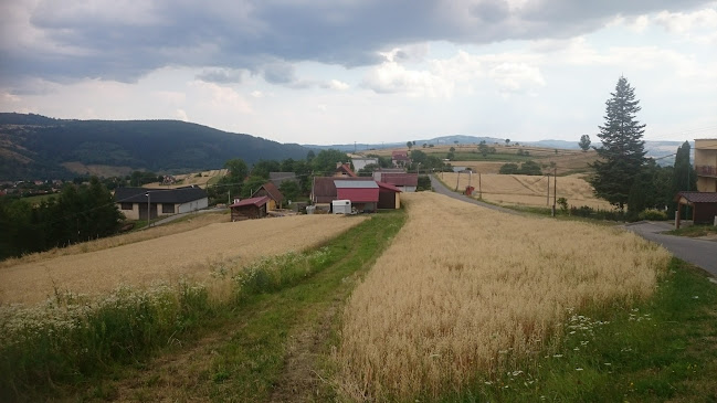 Pizza + - Gastronómia a pohostinstvo