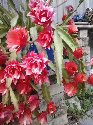 A. H. Škultétyho 358, 990 01 Veľký Krtíš