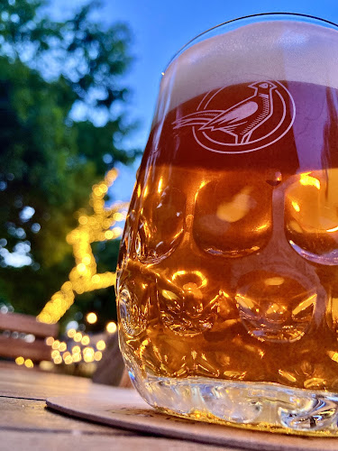 Comentarii opinii despre Petržalská Klubovňa