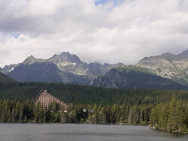 Comentarii opinii despre Penzion Milotin