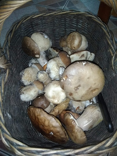 Bar u Joška - Bardejovská Nová Ves