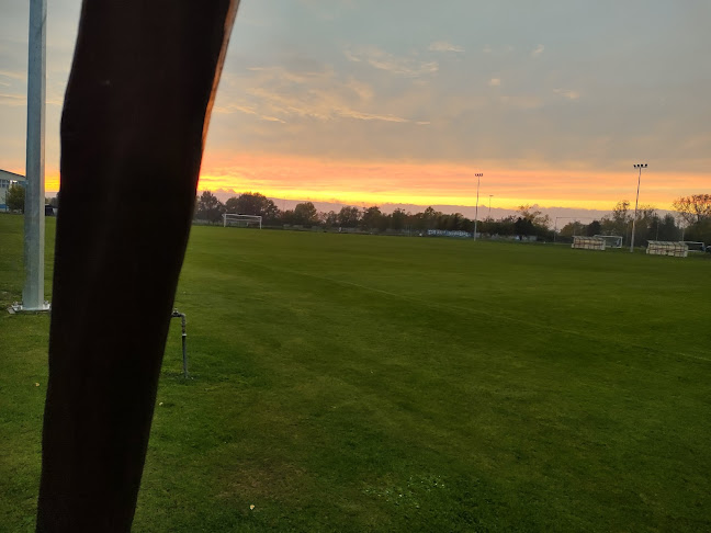 Gól Pub - Viničné