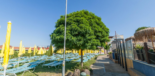 Comentarii opinii despre PLAZA BEACH RESORT