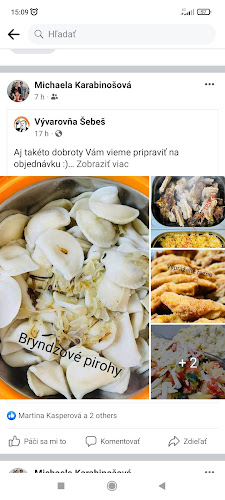 Comentarii opinii despre U Šotika