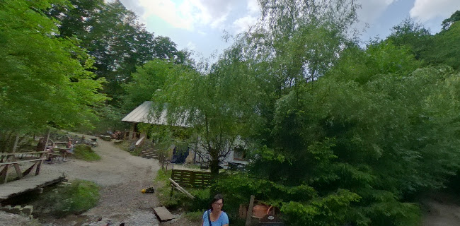 Opinii despre Lesné bistro Vážka în Marianka - Gastronómia a pohostinstvo