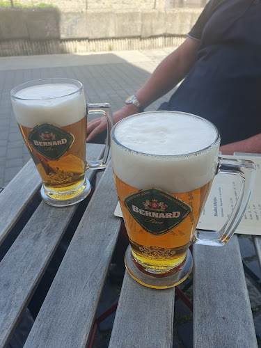 Comentarii opinii despre U dobrého pastiera