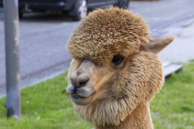 Bite&Byte - Gastronómia a pohostinstvo