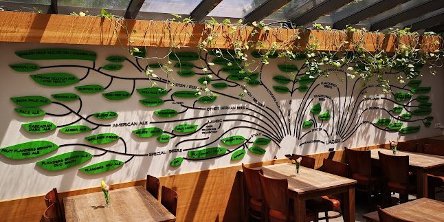 Comentarii opinii despre New Chicago