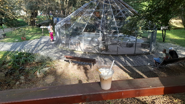 Comentarii opinii despre Doraz Cafe - ZOO Košice